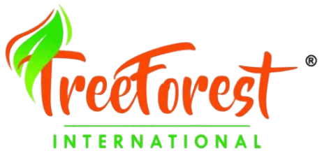 TreeForest International